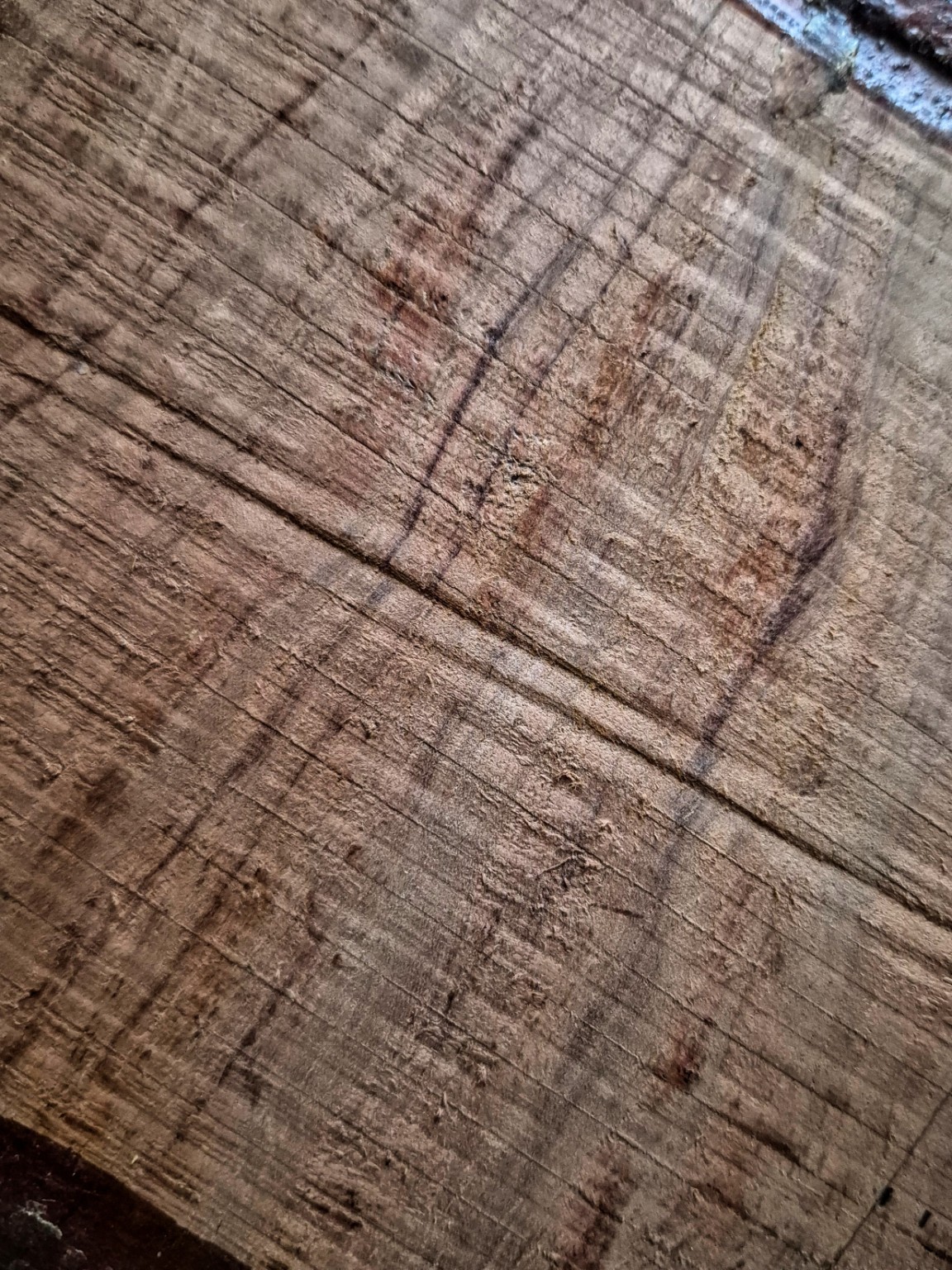 Original Mokurei Studio close-up photograph of Bubinga from the studio timber stock.