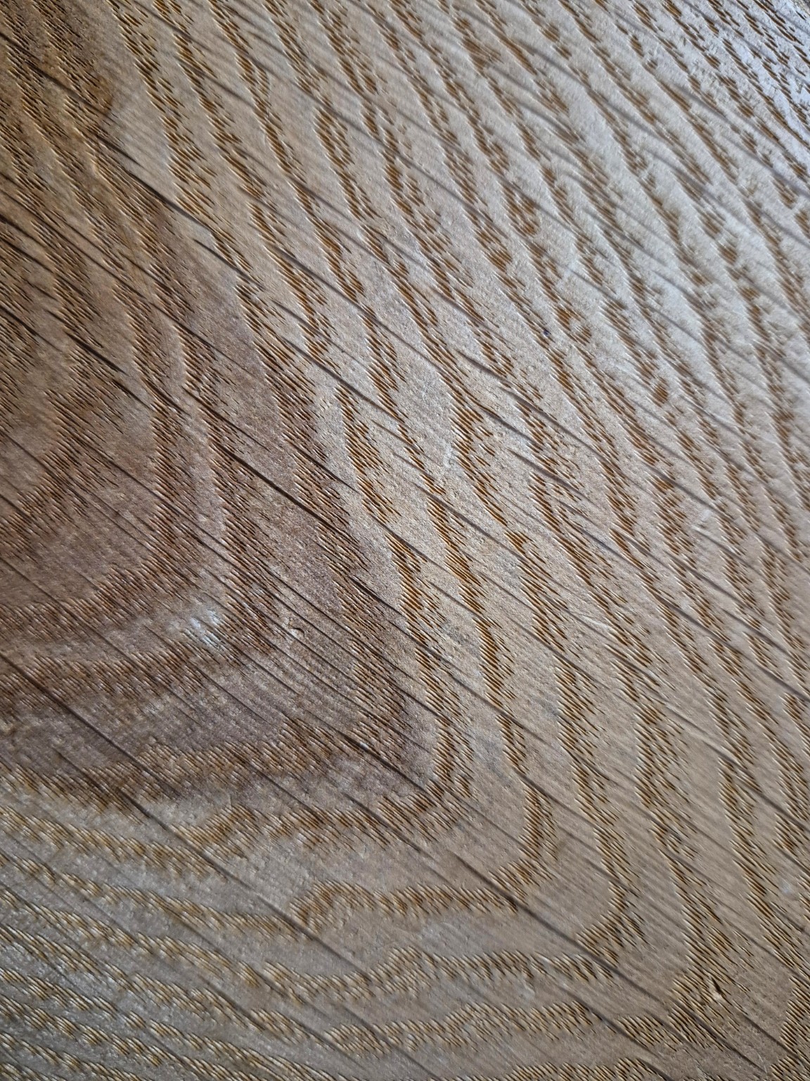 Original Mokurei Studio close-up photograph of Oak from the studio timber stock.