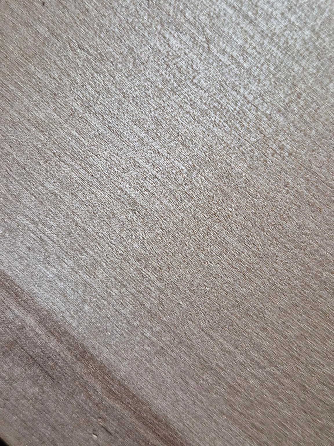 Original Mokurei Studio close-up photograph of Birch from the studio timber stock.