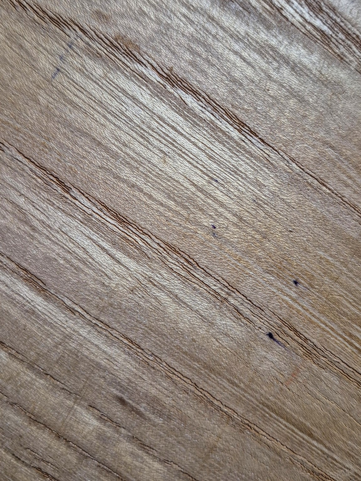 Original Mokurei Studio close-up photograph of Elm from the studio timber stock.