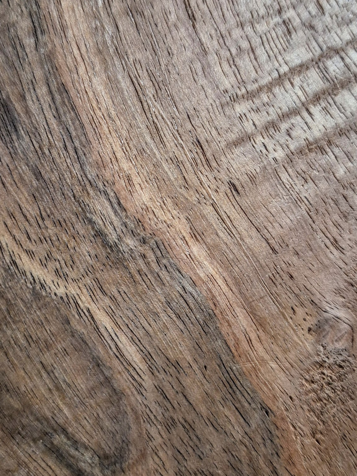 Original Mokurei Studio close-up photograph of Walnut (Juglans spp.) from the studio timber stock.
