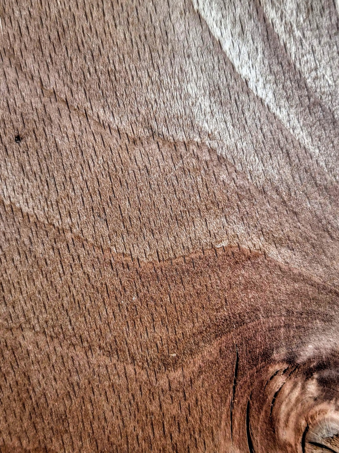 Original Mokurei Studio close-up photograph of European Beech from the studio timber stock.