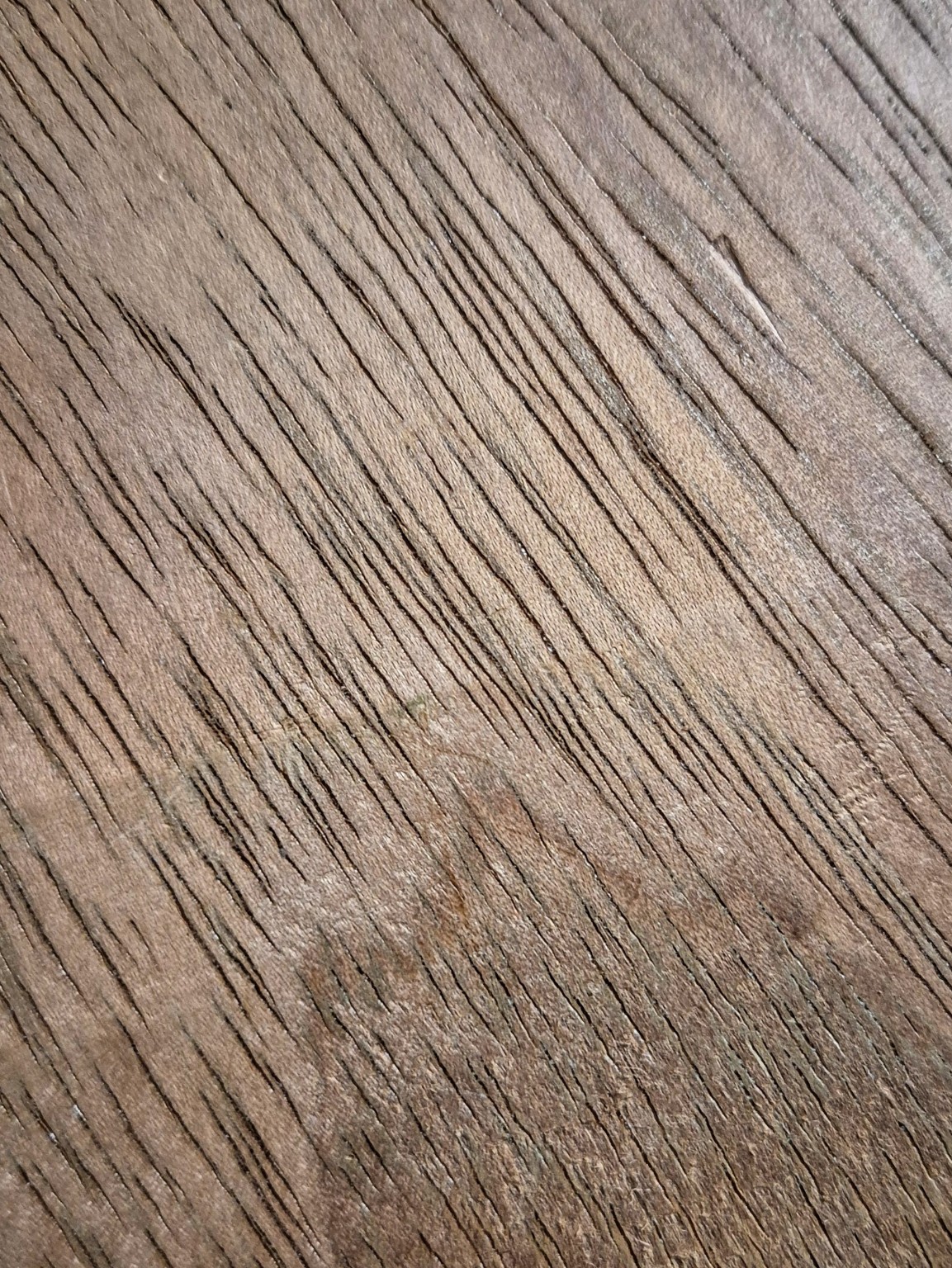 Original Mokurei Studio close-up photograph of Iroko from the studio timber stock.