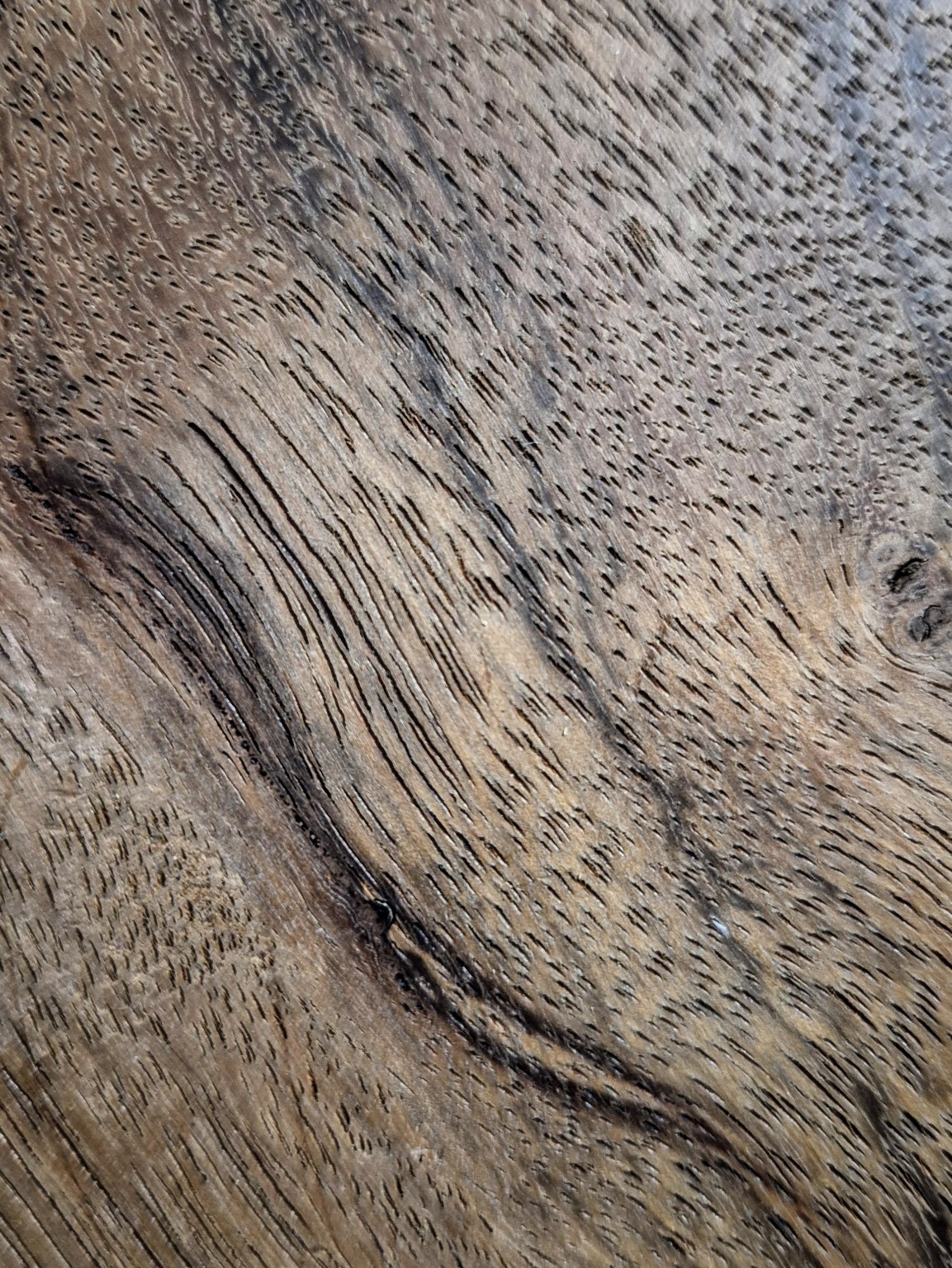 Original Mokurei Studio close-up photograph of Kumbuk from the studio timber stock.