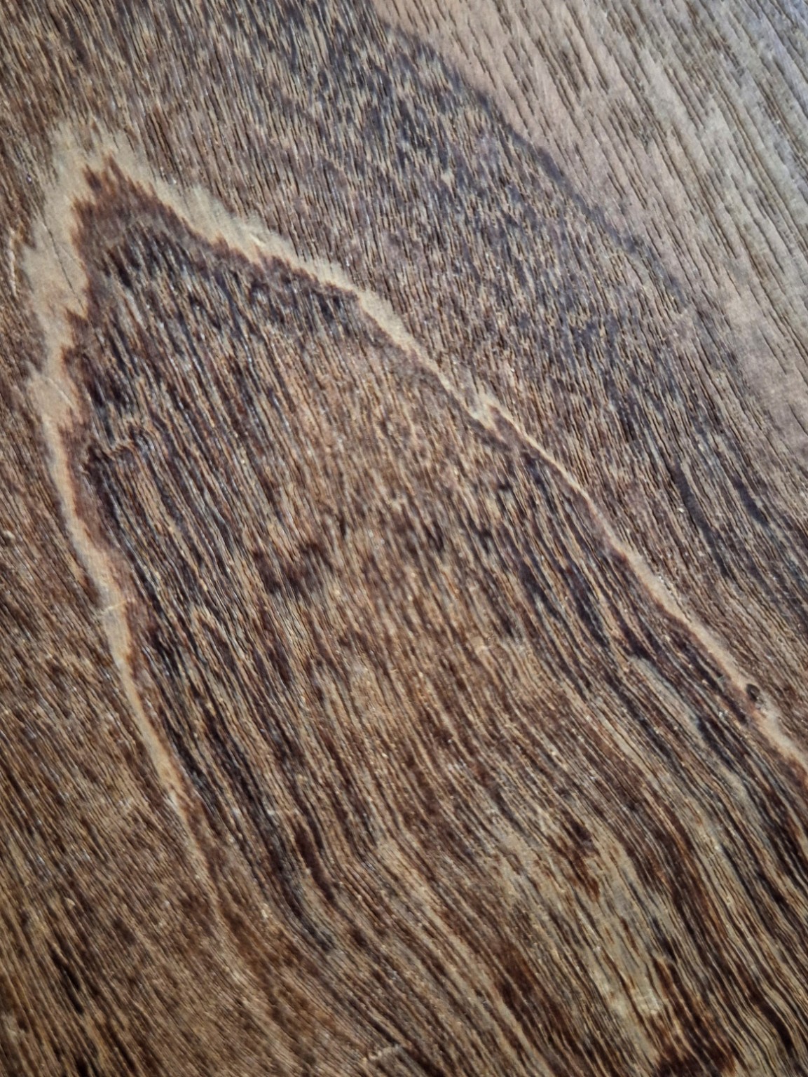 Original Mokurei Studio close-up photograph of Teak from the studio timber stock.