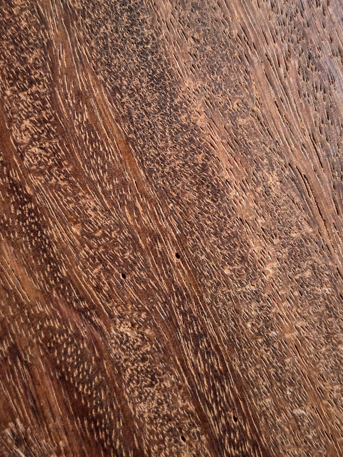 Original Mokurei Studio close-up photograph of Tali from the studio timber stock.