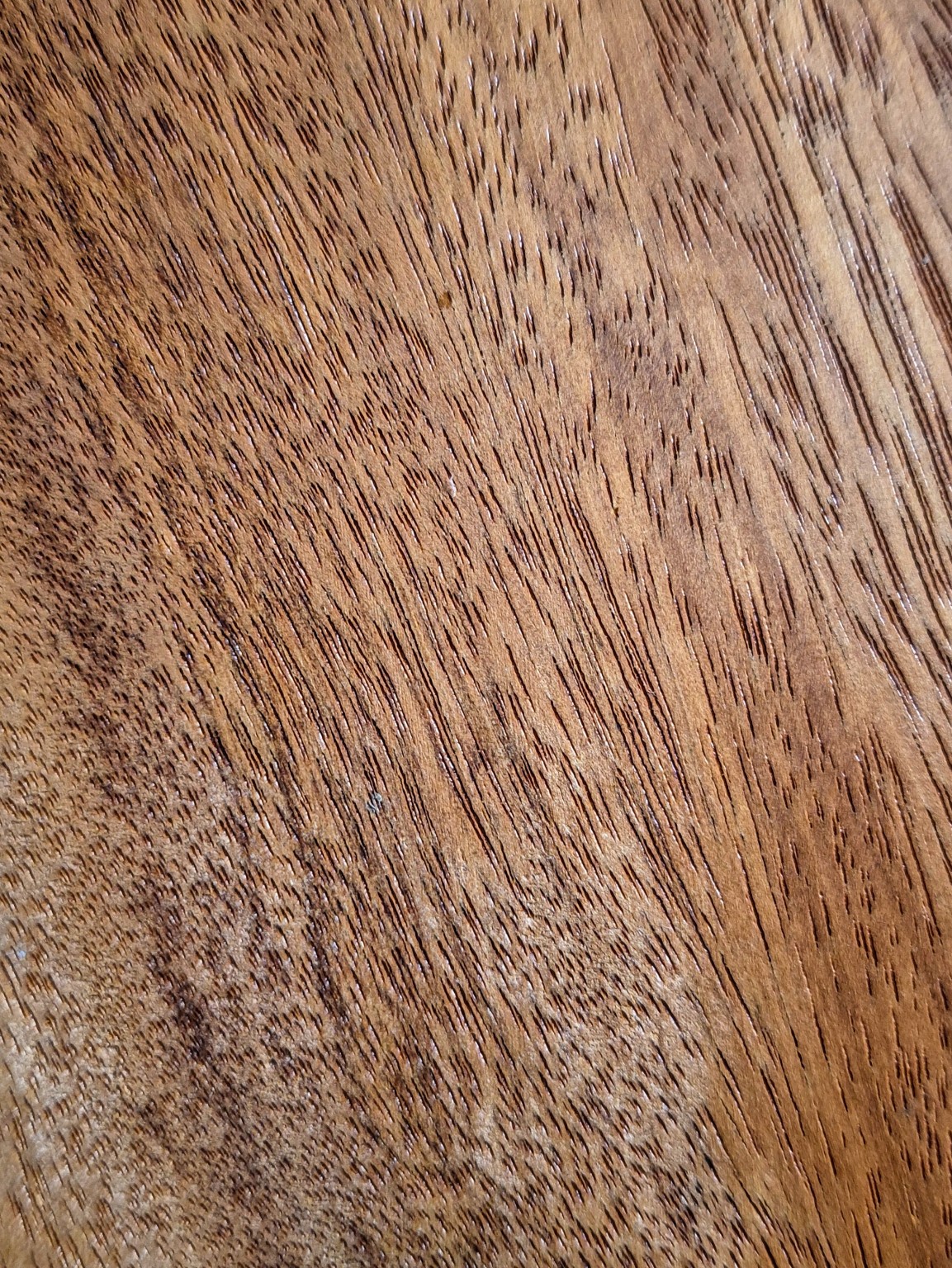 Original Mokurei Studio close-up photograph of Bilinga from the studio timber stock.