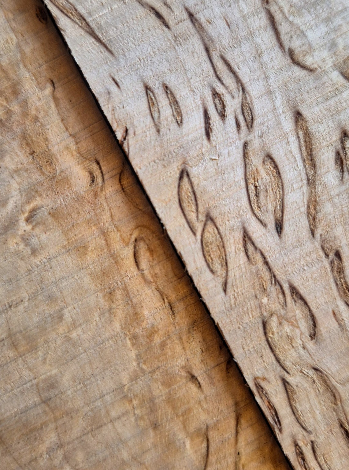 Original Mokurei Studio close-up photograph of Karelian Birch from the studio timber stock.