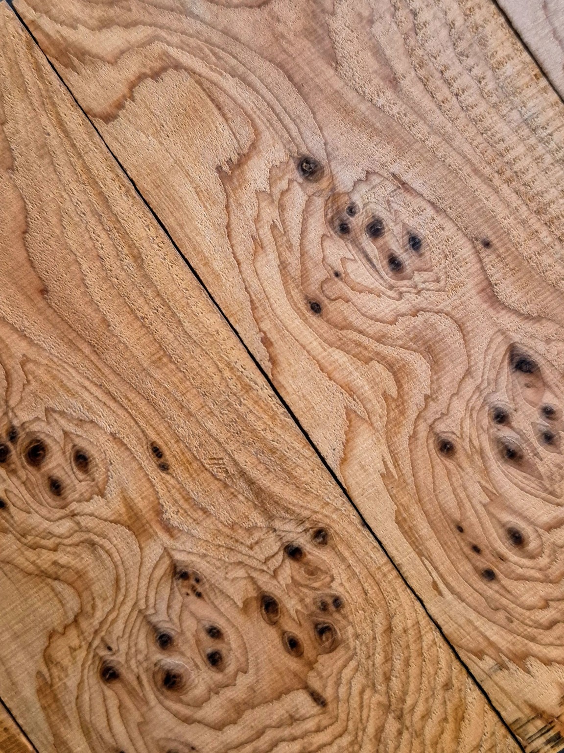 Original Mokurei Studio close-up photograph of Eibe from the studio timber stock.