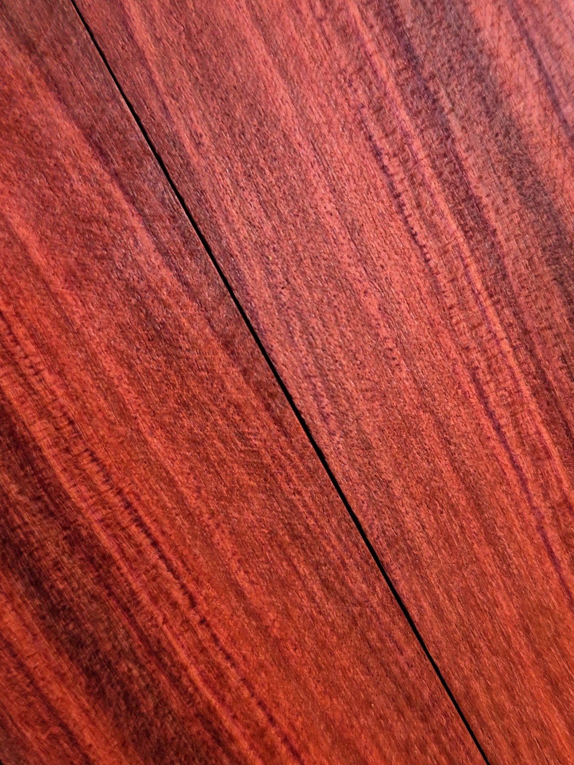 Original Mokurei Studio close-up photograph of Chakte Kok from the studio timber stock.