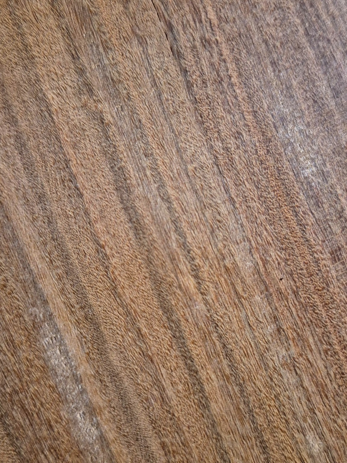 Original Mokurei Studio close-up photograph of Muhuhu from the studio timber stock.
