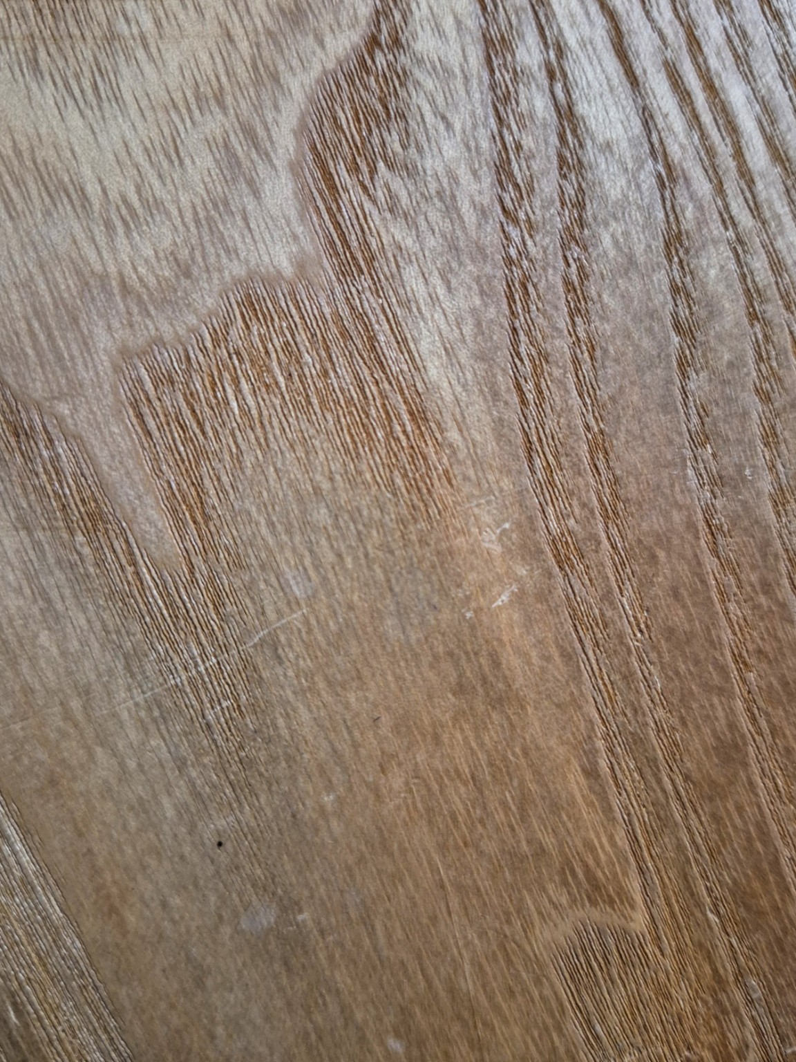 Original Mokurei Studio close-up photograph of Ash from the studio timber stock.