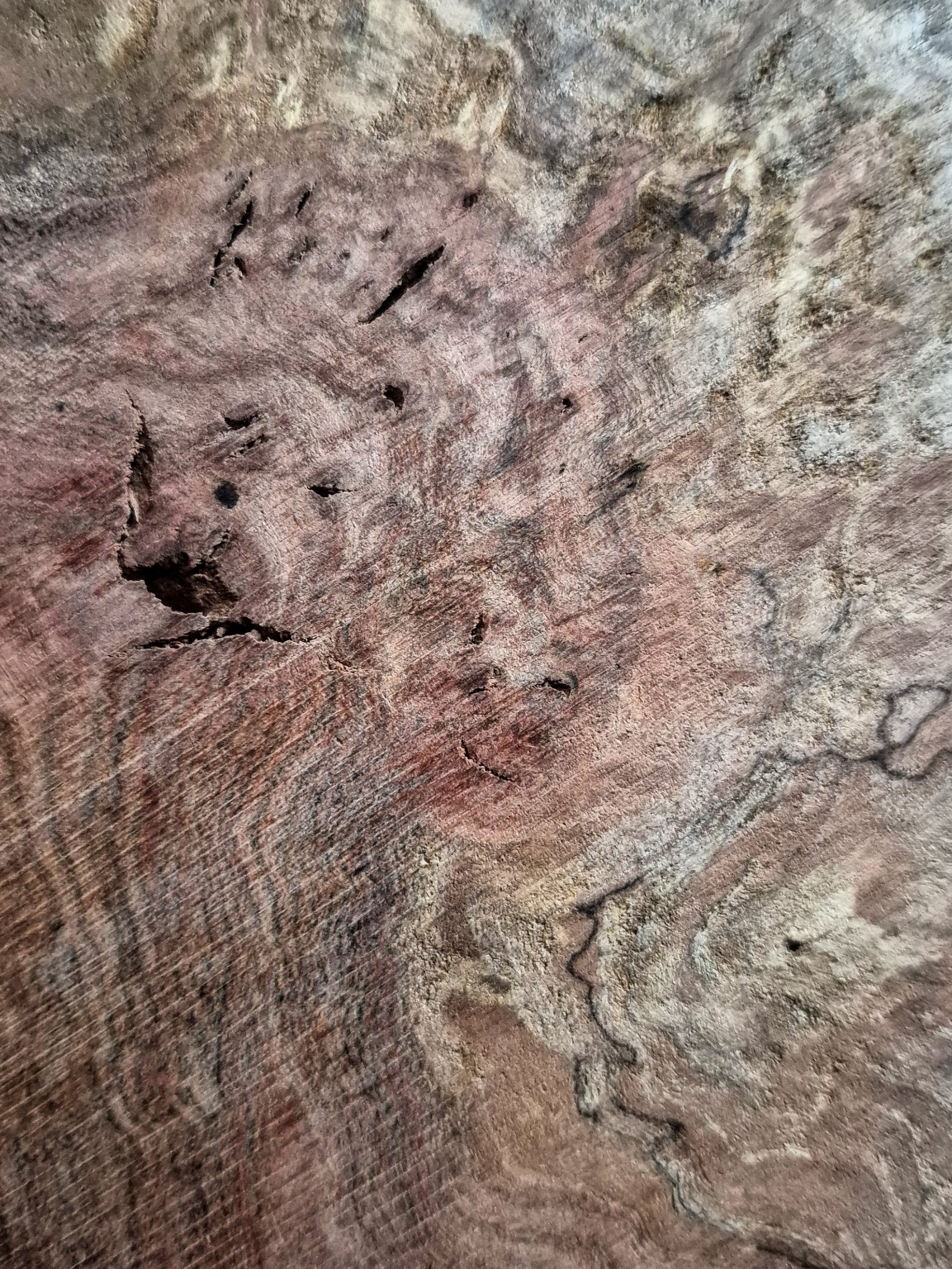 Original Mokurei Studio close-up photograph of Chechen Burl from the studio timber stock.