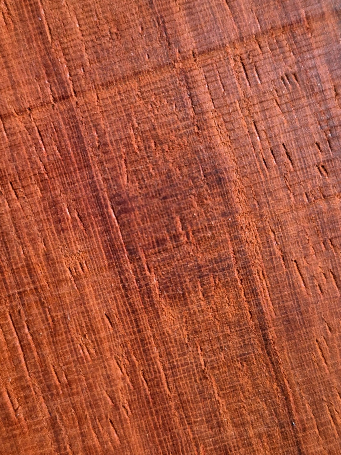Original Mokurei Studio close-up photograph of Padouk from the studio timber stock.