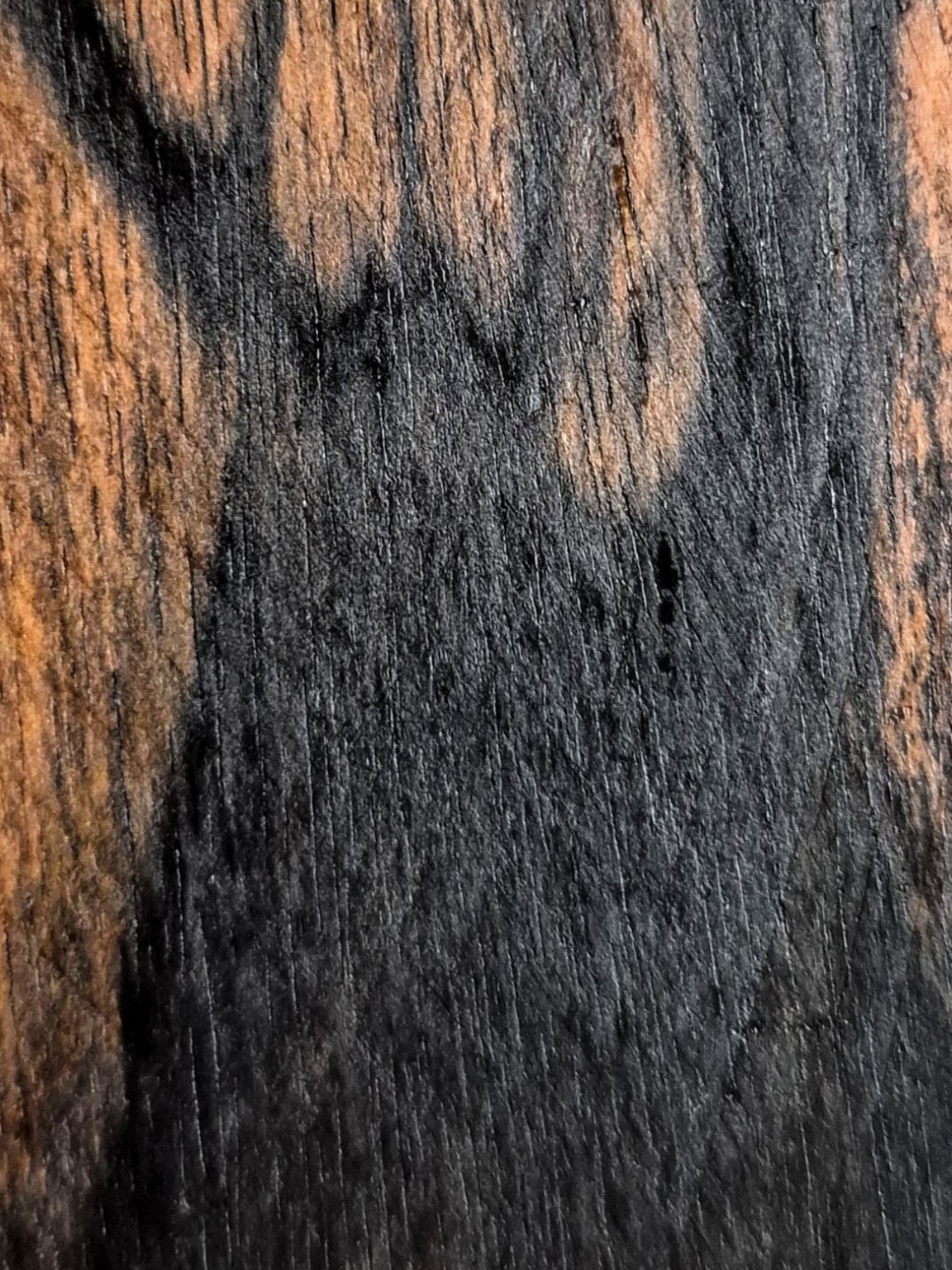 Original Mokurei Studio photograph of Gabon Ebony, from studio-owned timber stock.