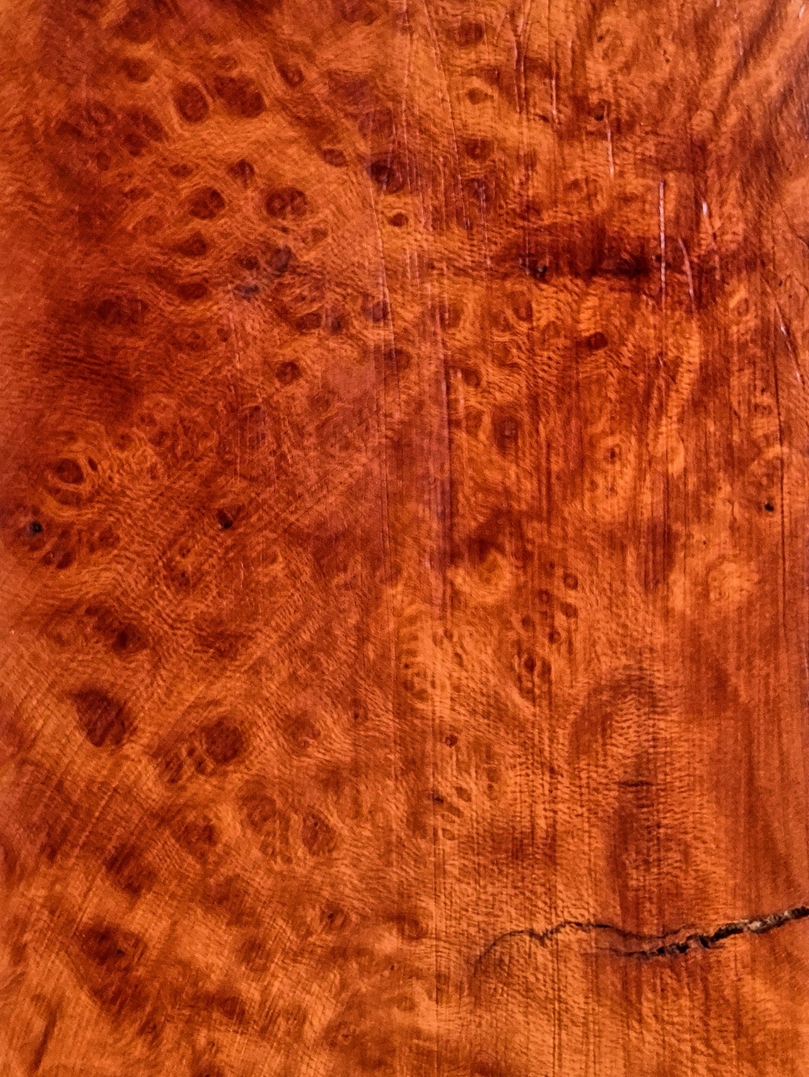 Original Mokurei Studio photograph of Briar Burl, from studio-owned timber stock.