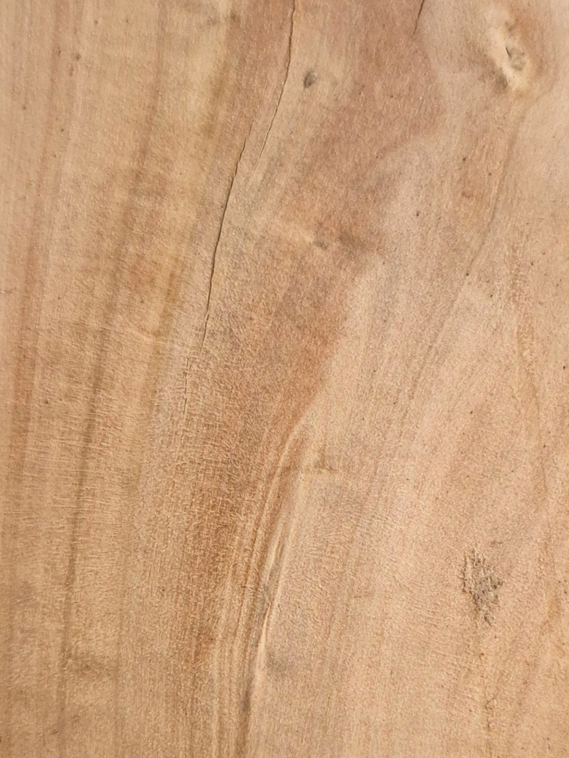 Original Mokurei Studio photograph of European Boxwood, from studio-owned timber stock.