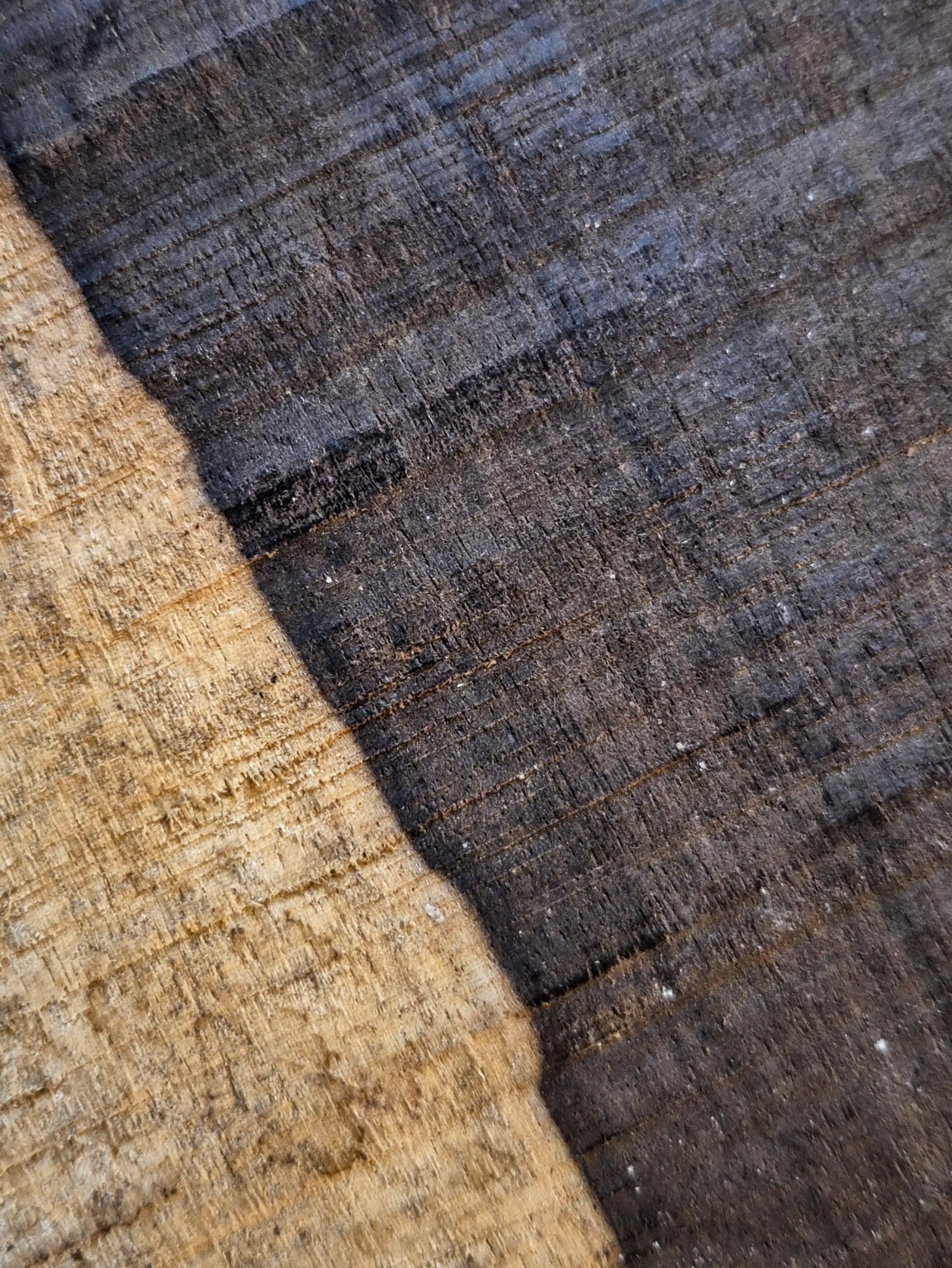 Original Mokurei Studio photograph of Katalox, from studio-owned timber stock.