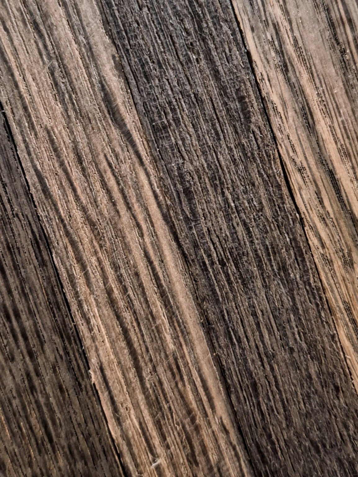 Original Mokurei Studio photograph of Bog Oak, from studio-owned timber stock.