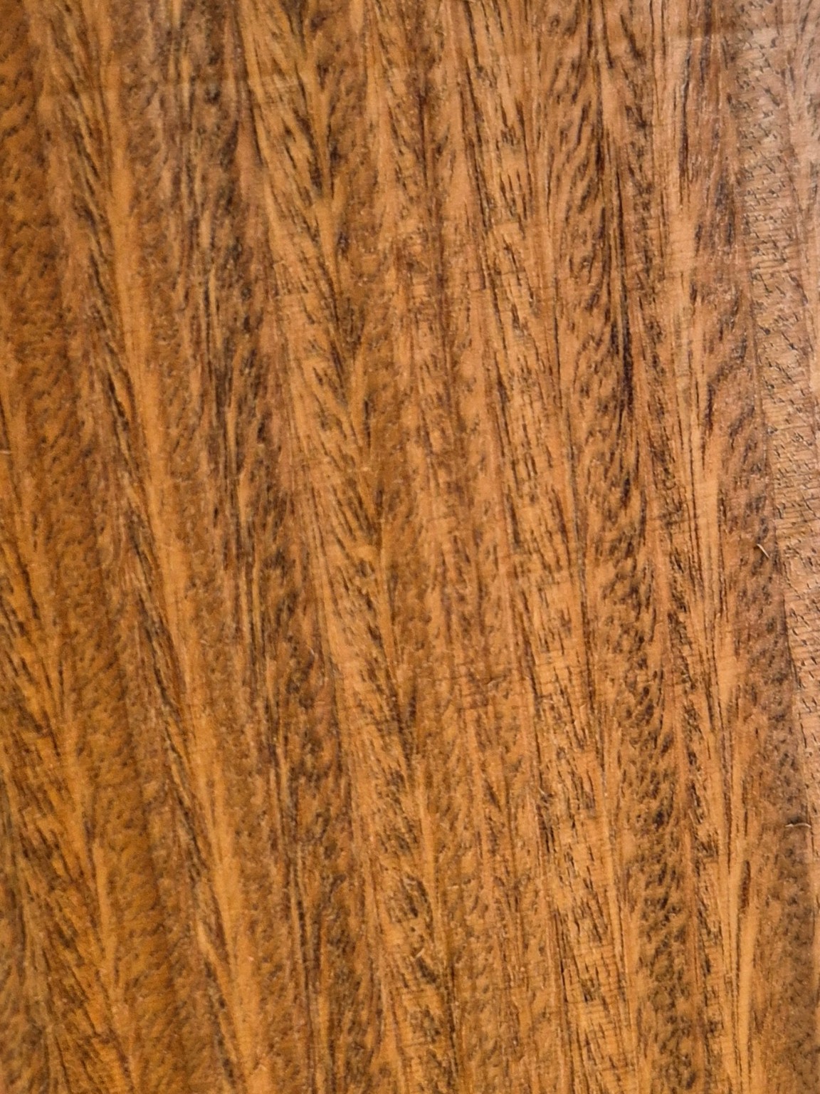 Original Mokurei Studio photograph of Argentine Lignum Vitae, from studio-owned timber stock.