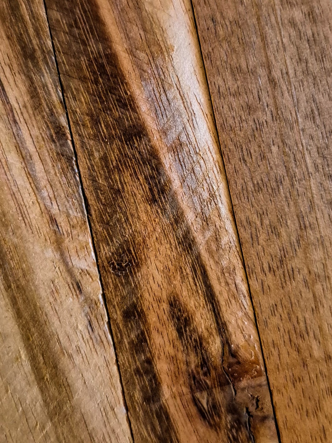 Original Mokurei Studio photograph of Curupay, from studio-owned timber stock.
