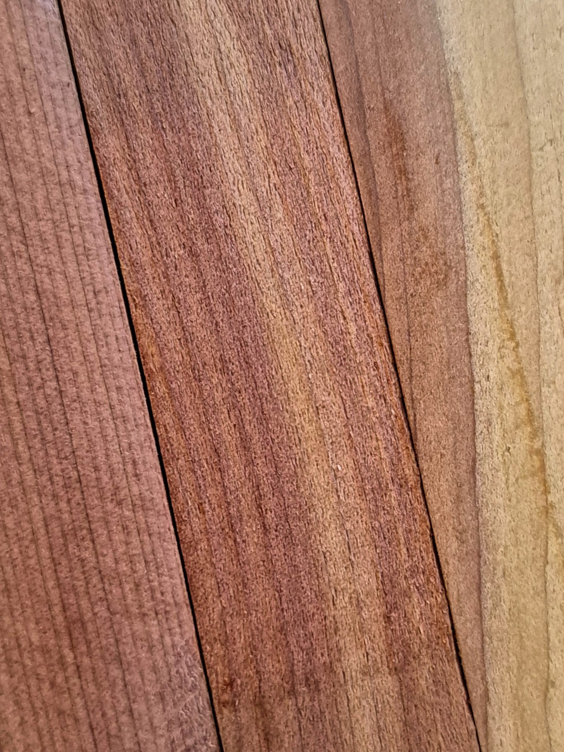 Original Mokurei Studio photograph of Virginia Juniper, from studio-owned timber stock.