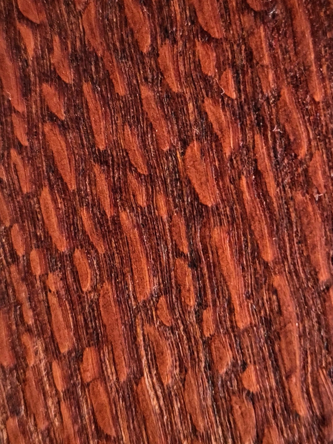 Original Mokurei Studio photograph of Leopardwood, from studio-owned timber stock.